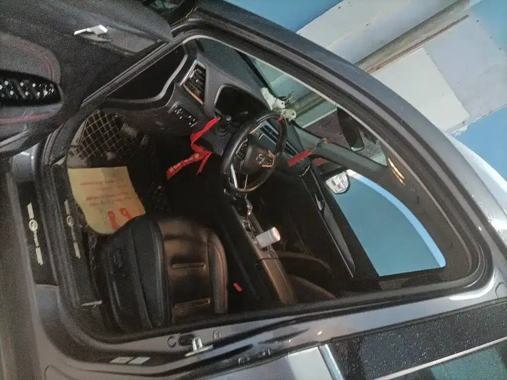 GAC Motor GS4 Plus 2023 из CN, фото 6