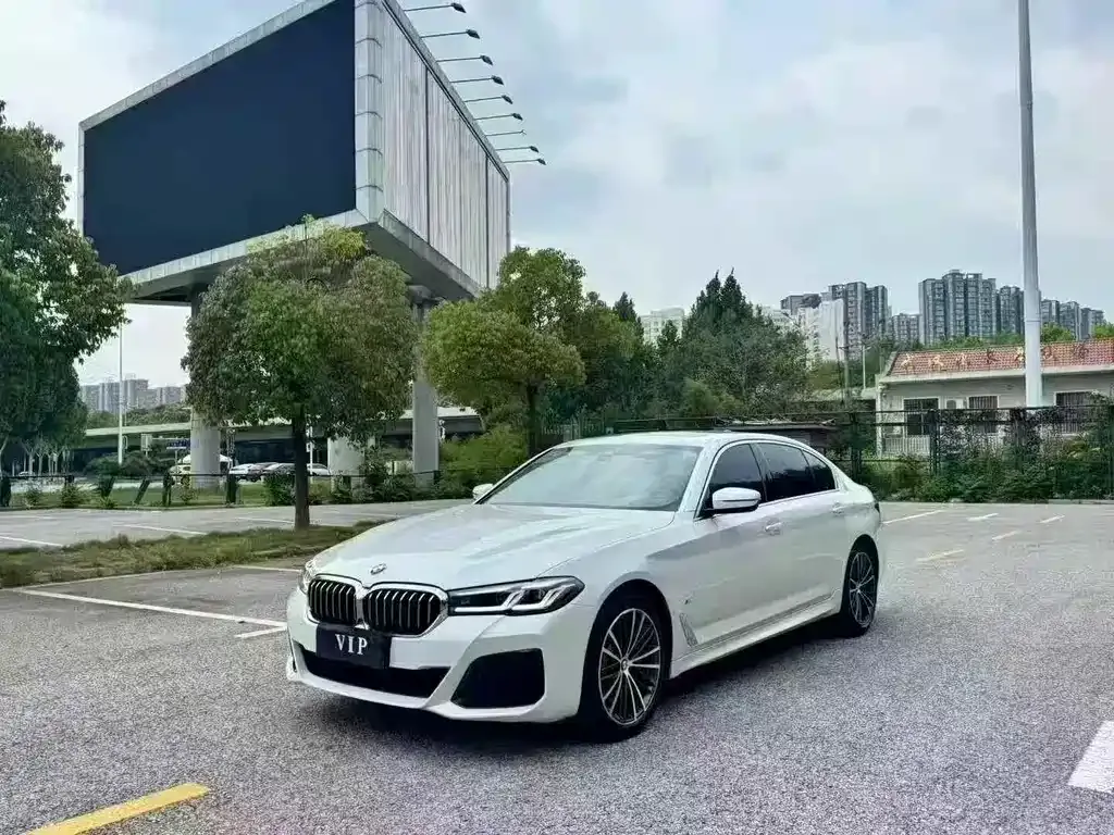 BMW 5 Series 2021 из CN, фото 1