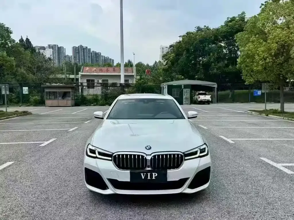 BMW 5 Series 2021 из CN, фото 3