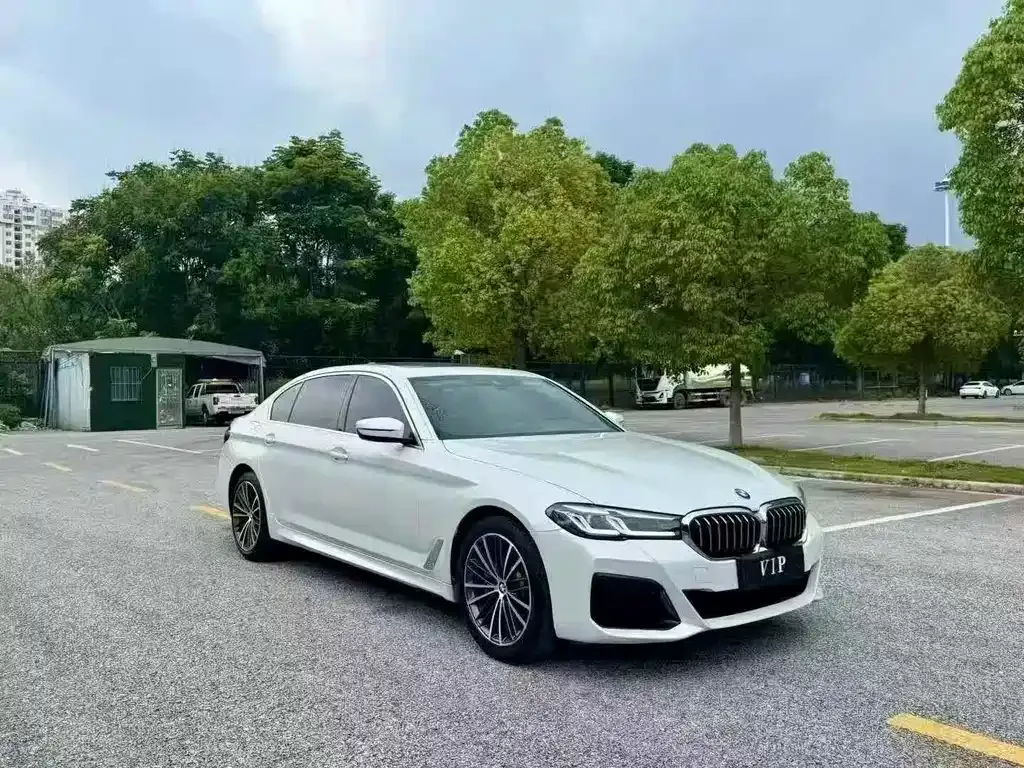 BMW 5 Series 2021 из CN, фото 8