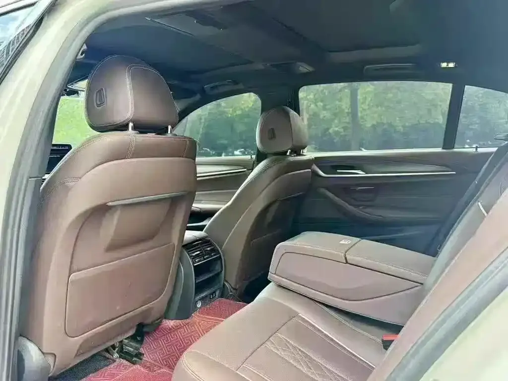 BMW 5 Series 2021 из CN, фото 6
