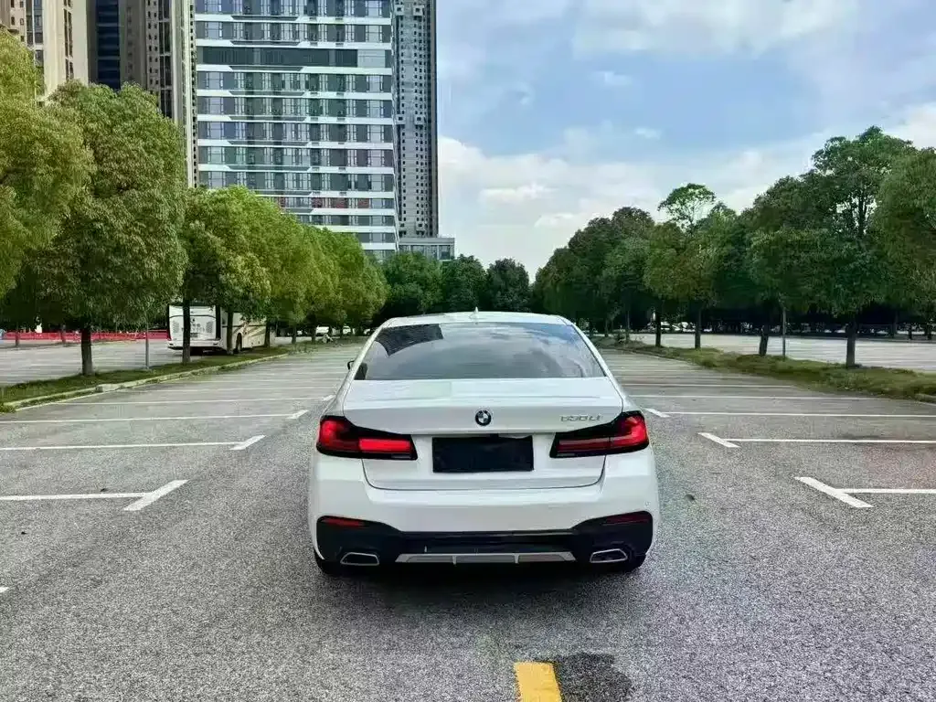 BMW 5 Series 2021 из CN, фото 9