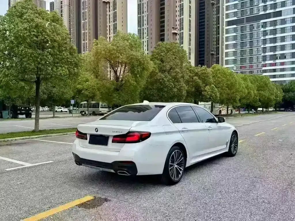 BMW 5 Series 2021 из CN, фото 7