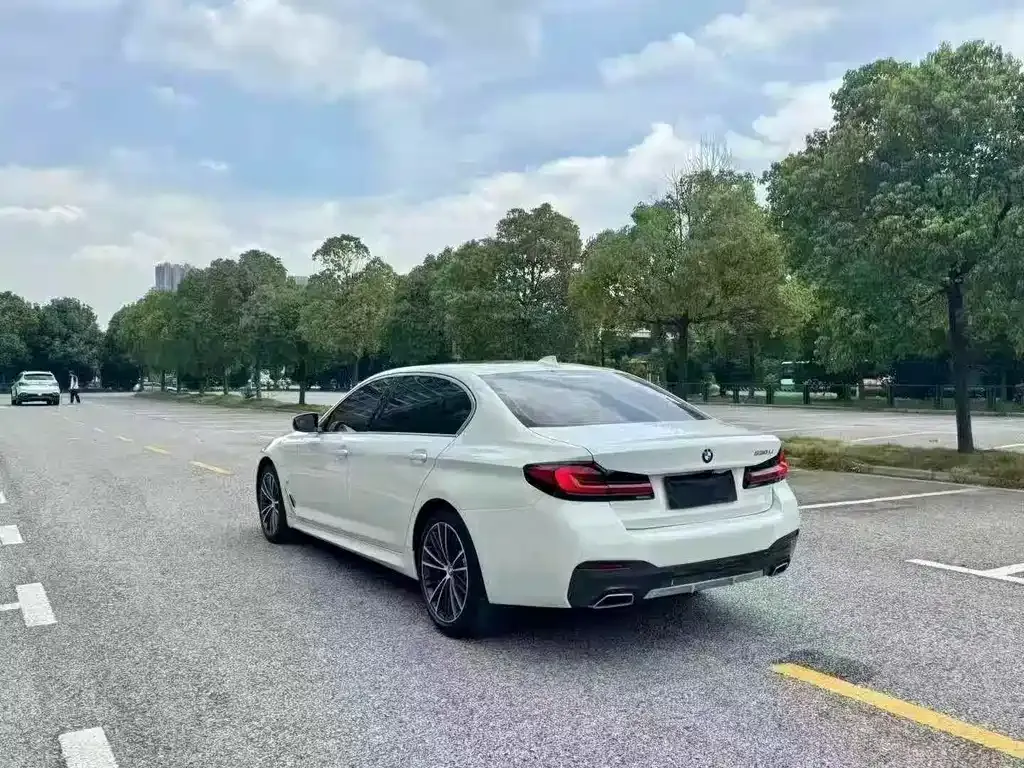 BMW 5 Series 2021 из CN, фото 5