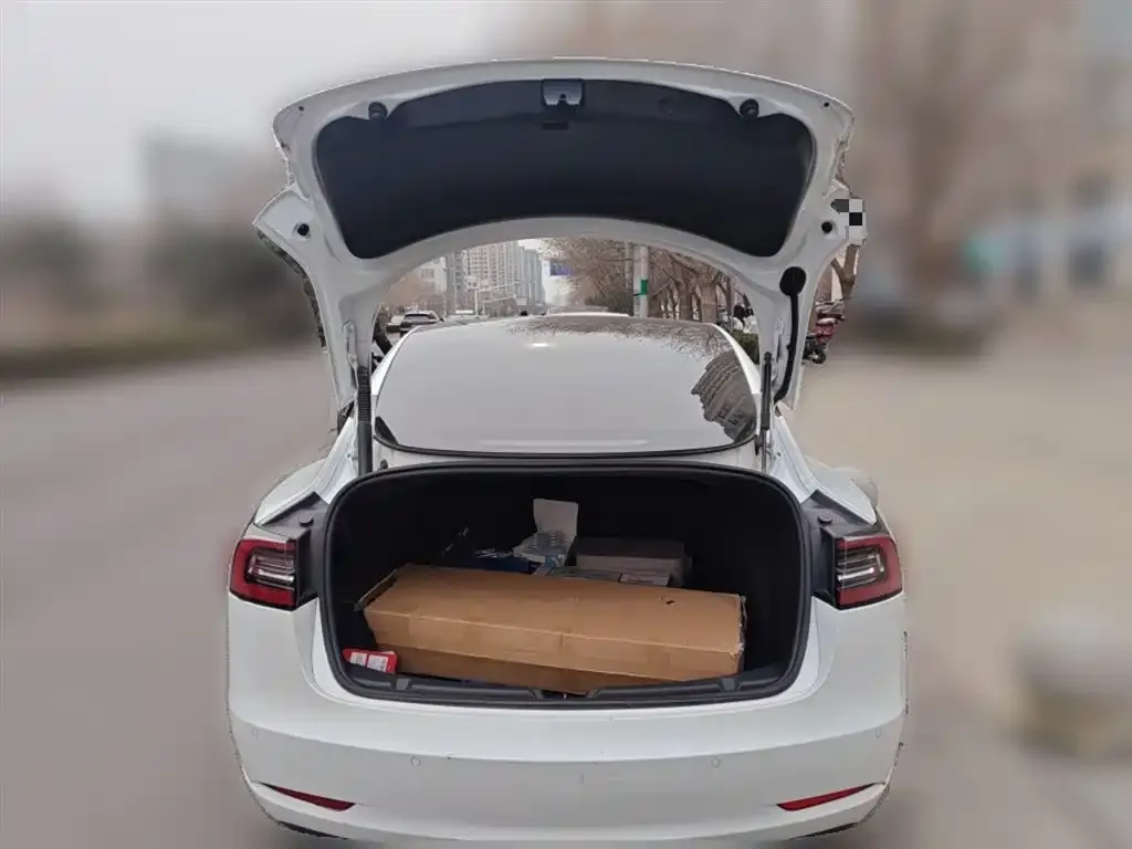 Tesla Model 3 2022 из CN, фото 8