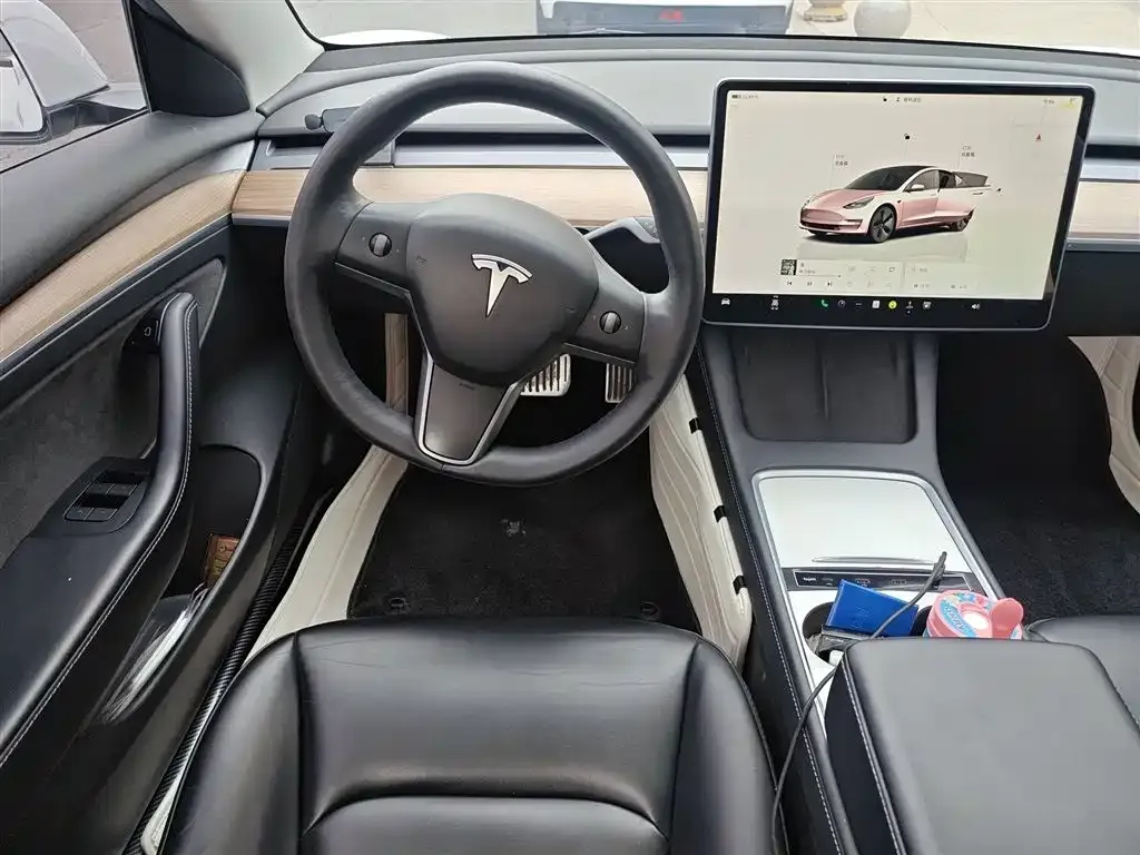 Tesla Model 3 2022 из CN, фото 9