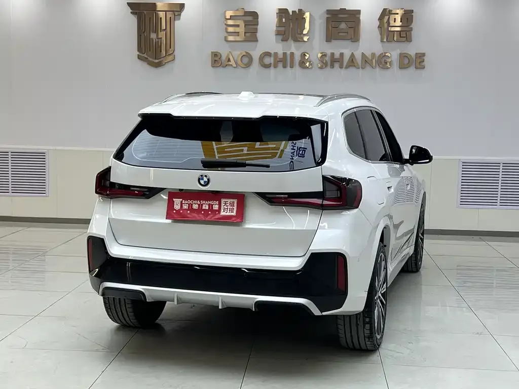 BMW X1 2023 из CN, фото 9