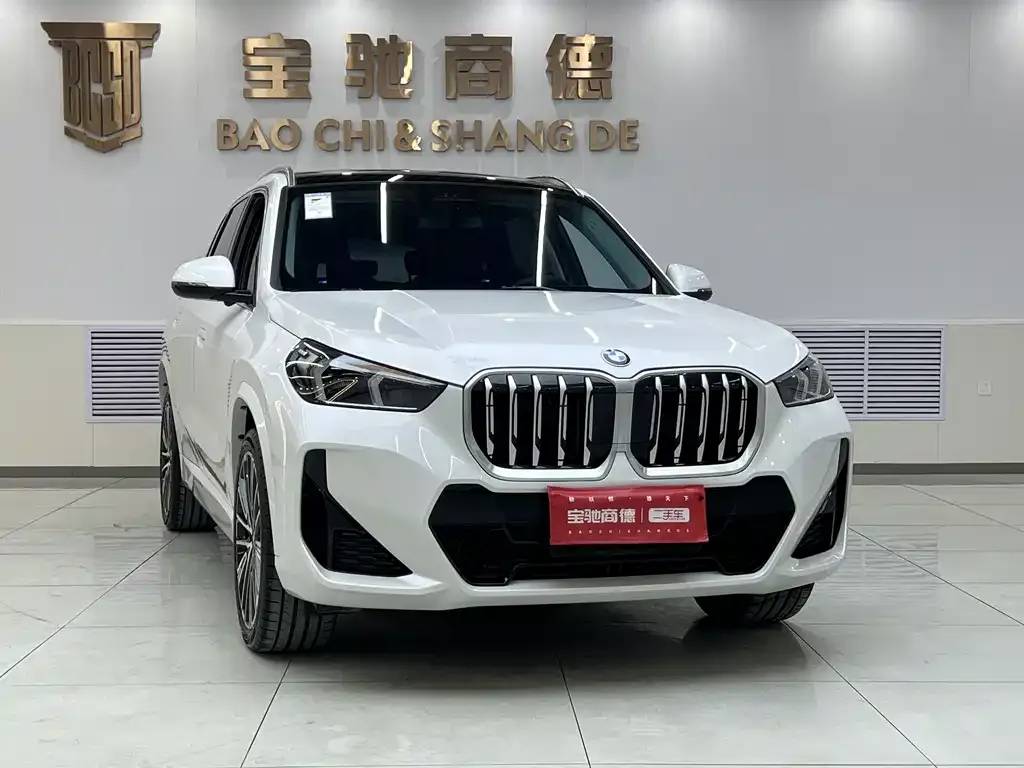 BMW X1 2023 из CN, фото 8