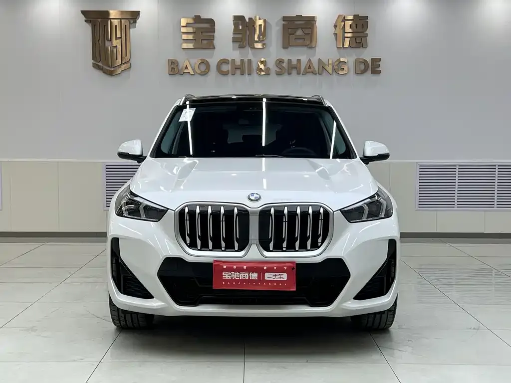 BMW X1 2023 из CN, фото 6