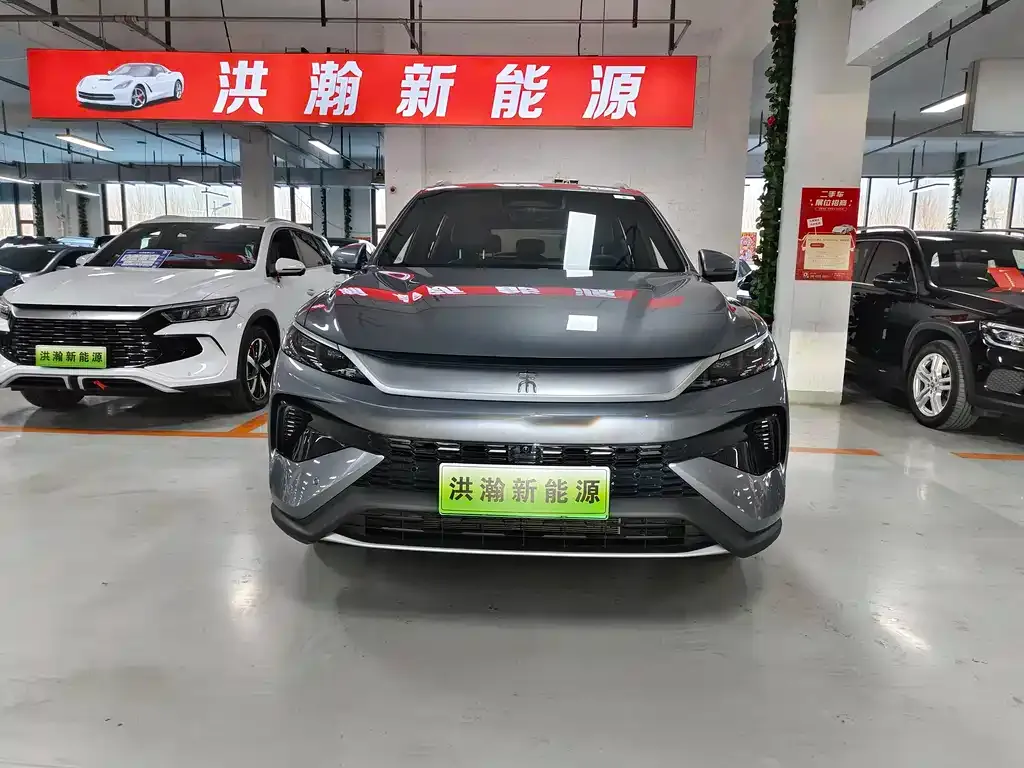BYD Pro New Energy 2025 из CN, фото 2