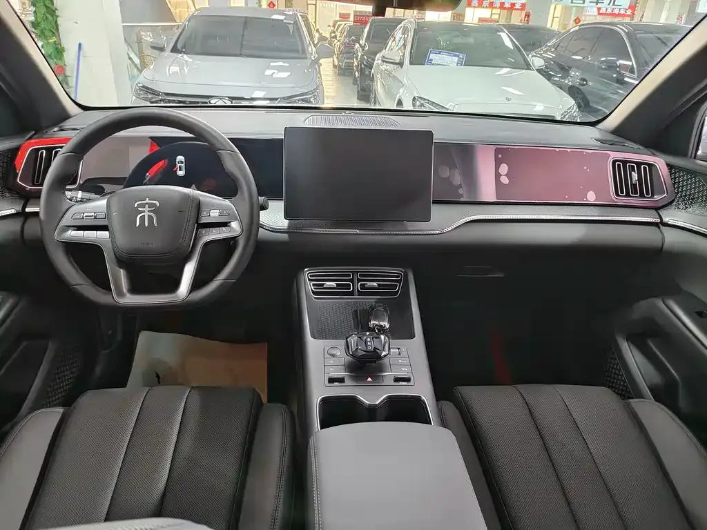 BYD Pro New Energy 2025 из CN, фото 5