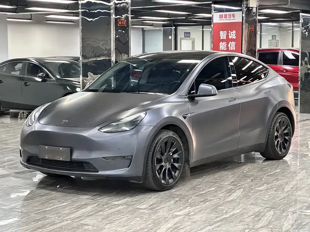 Tesla Model Y 2021 из CN, фото 1