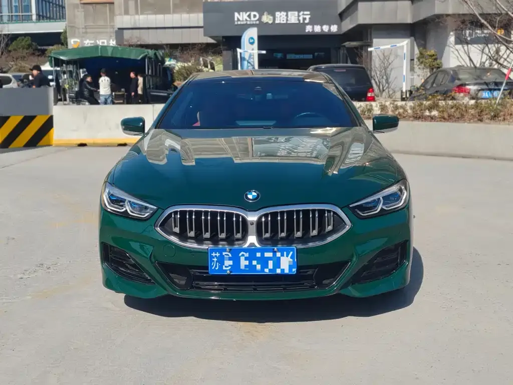 BMW 8 Series 2023 из CN, фото 9