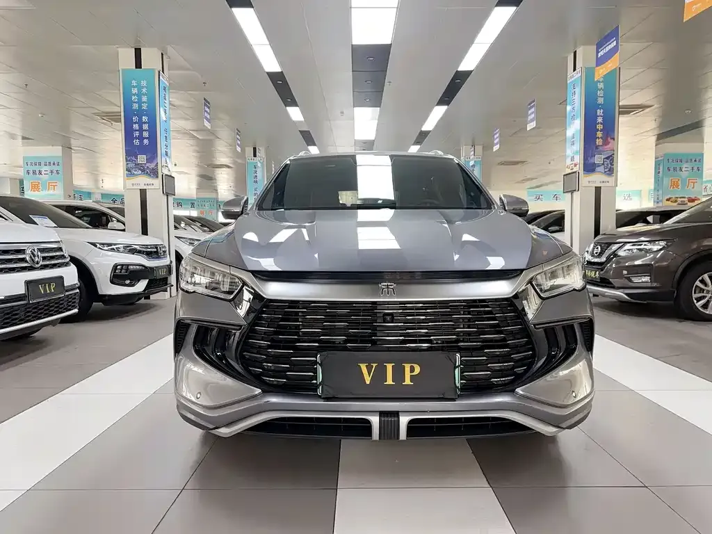 BYD Pro New Energy 2023 из CN, фото 9