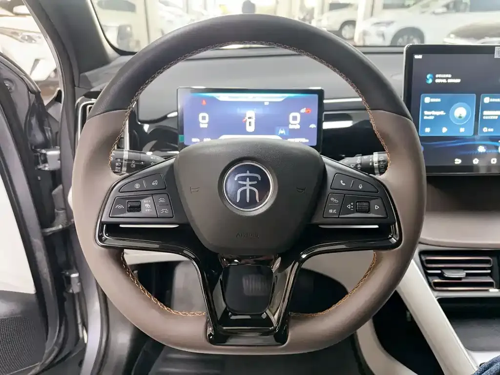 BYD Pro New Energy 2023 из CN, фото 4