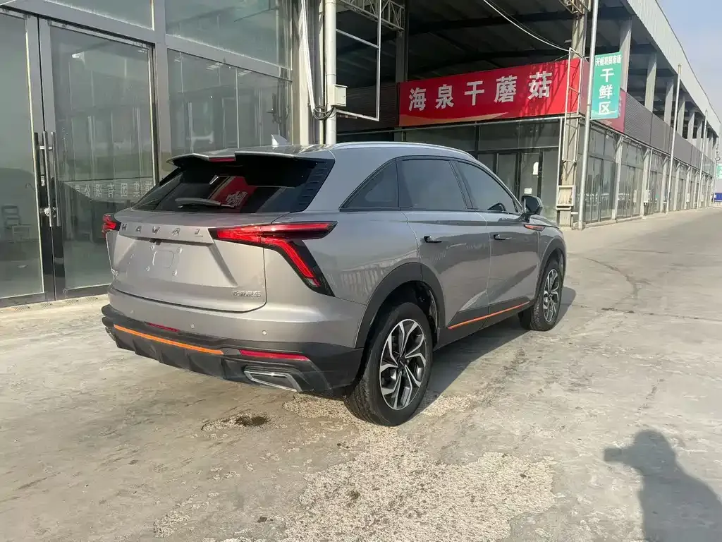 Haval Shenshou 2023 из CN, фото 3