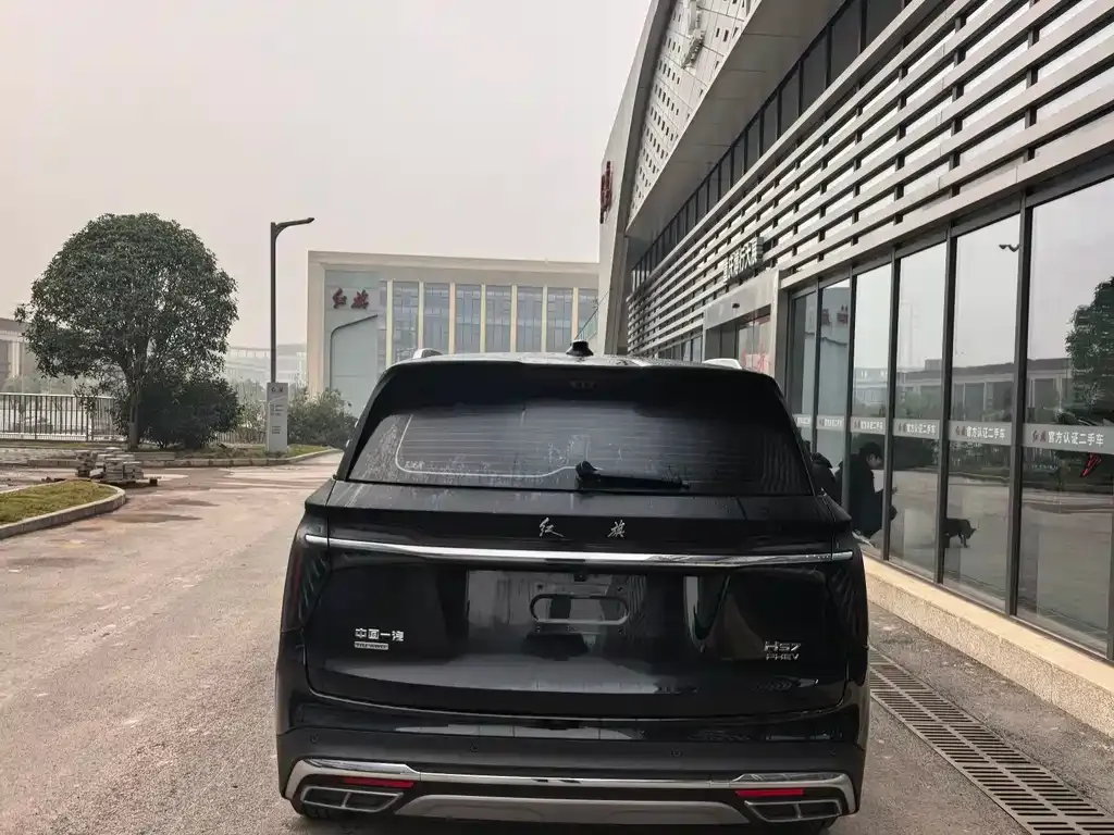 Hongqi HS7 PHEV 2024 из CN, фото 7