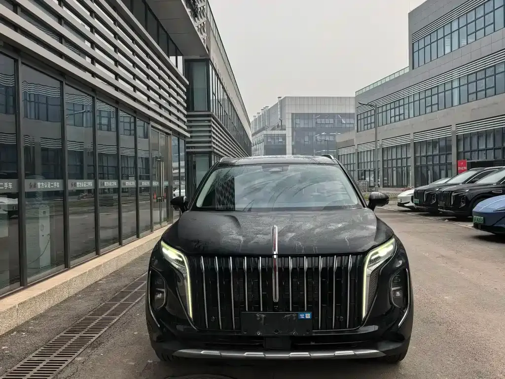 Hongqi HS7 PHEV 2024 из CN, фото 5