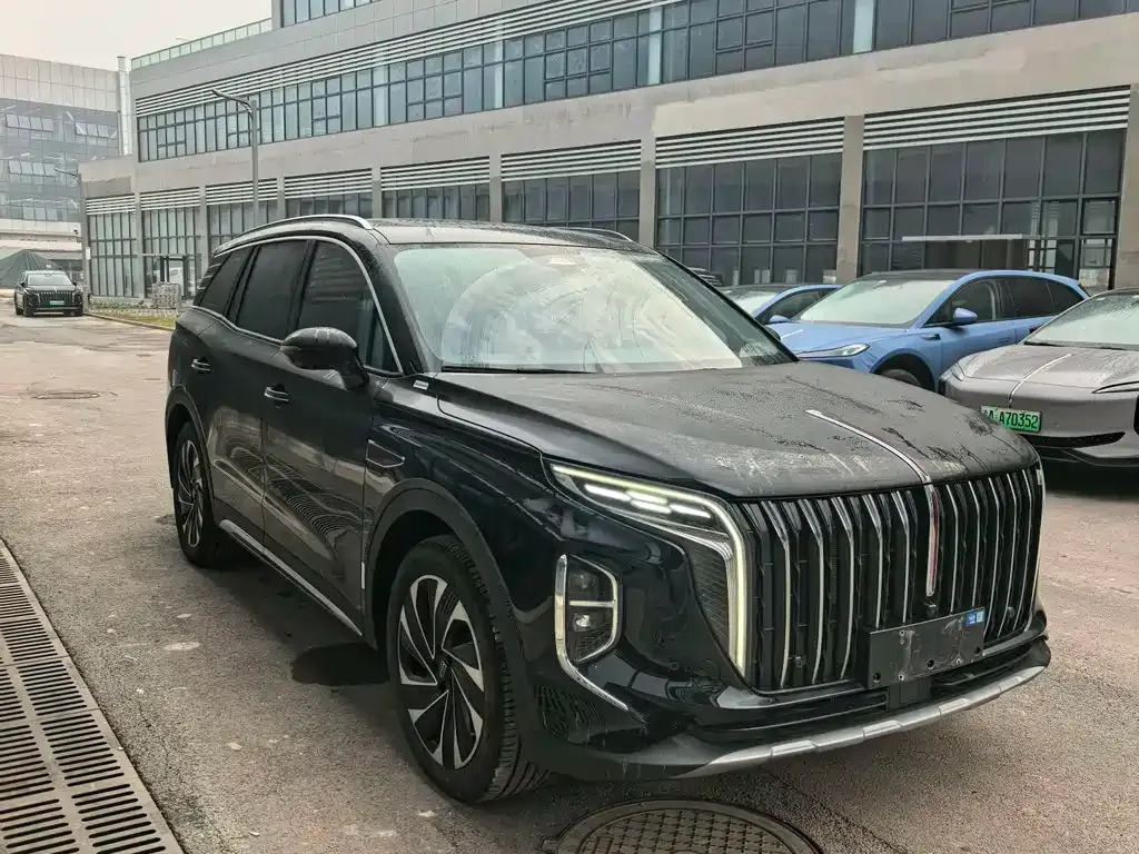 Hongqi HS7 PHEV 2024 из CN, фото 10