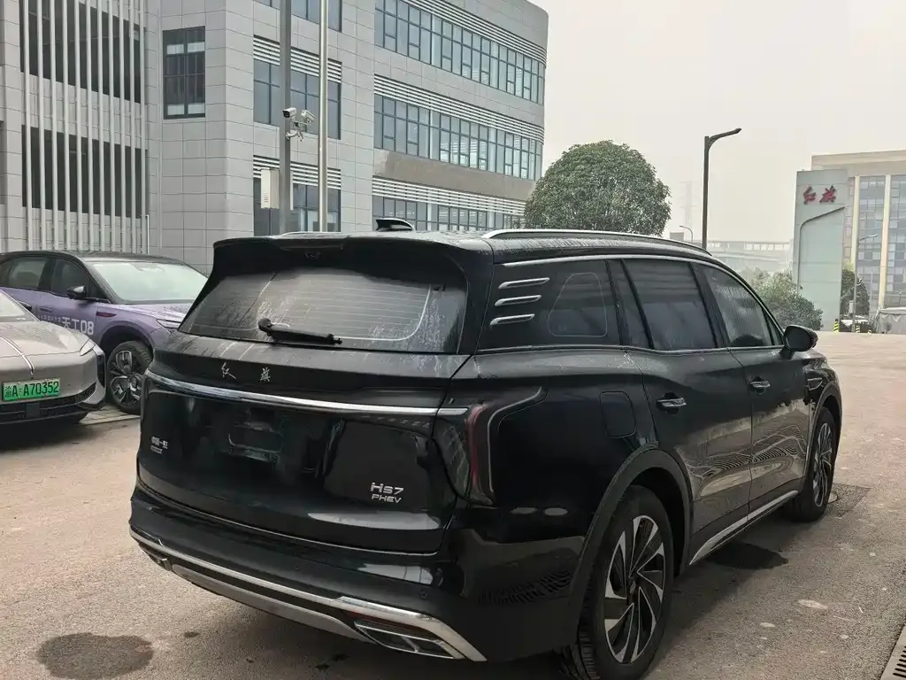 Hongqi HS7 PHEV 2024 из CN, фото 9