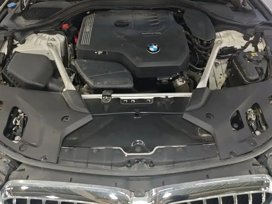 BMW 5 Series 2021 из CN, фото 10