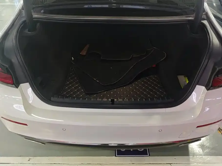 BMW 5 Series 2021 из CN, фото 7
