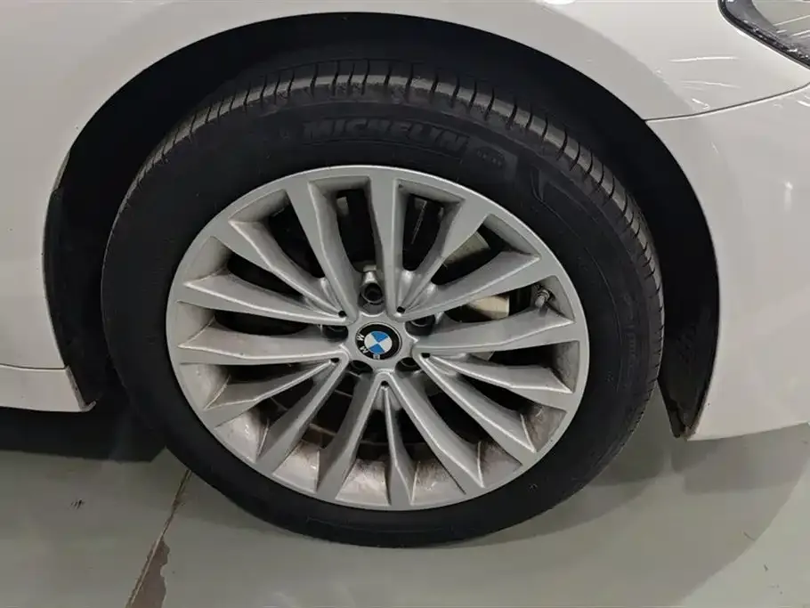 BMW 5 Series 2021 из CN, фото 3