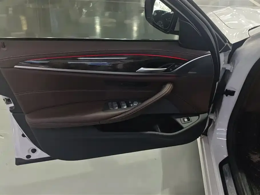 BMW 5 Series 2021 из CN, фото 9