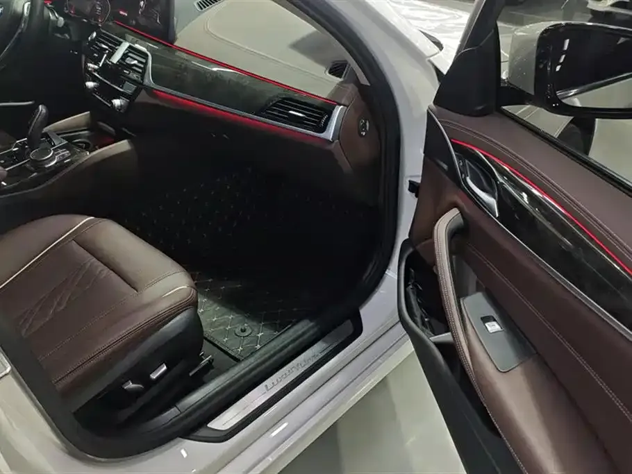 BMW 5 Series 2021 из CN, фото 5