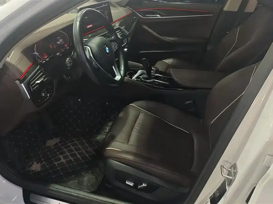 BMW 5 Series 2021 из CN, фото 4