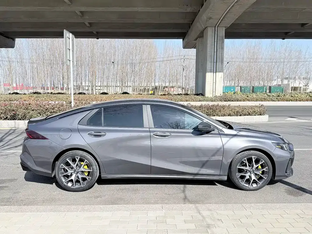 GAC Motor Shadow Leopard — фото 8
