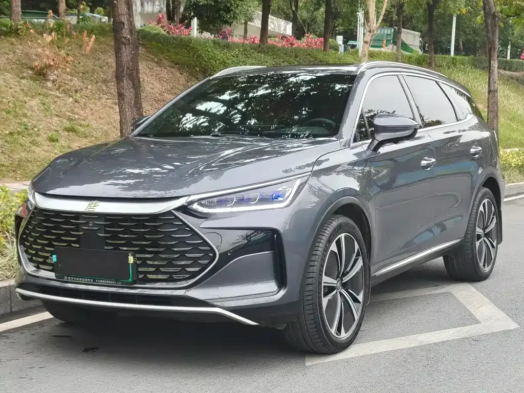 BYD Tang New Energy 2023 из CN, фото 1