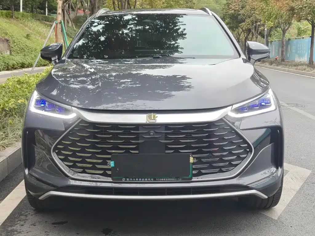 BYD Tang New Energy 2023 из CN, фото 6