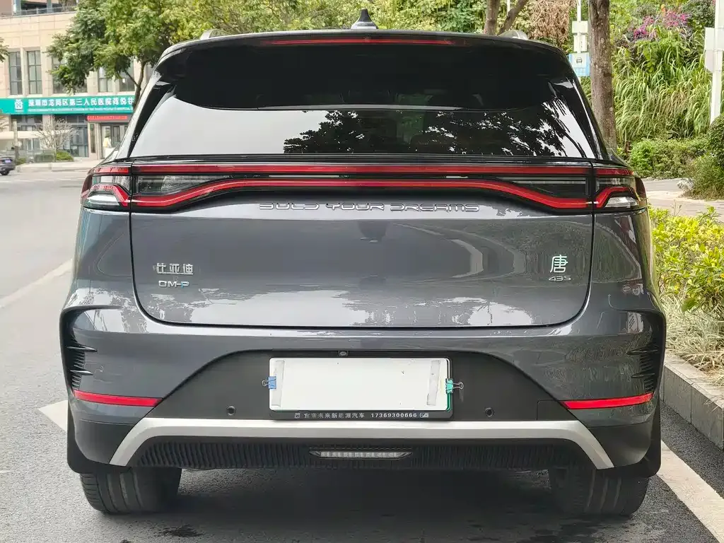 BYD Tang New Energy 2023 из CN, фото 4