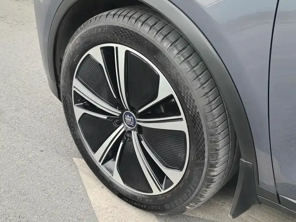 BYD Tang New Energy 2023 из CN, фото 2