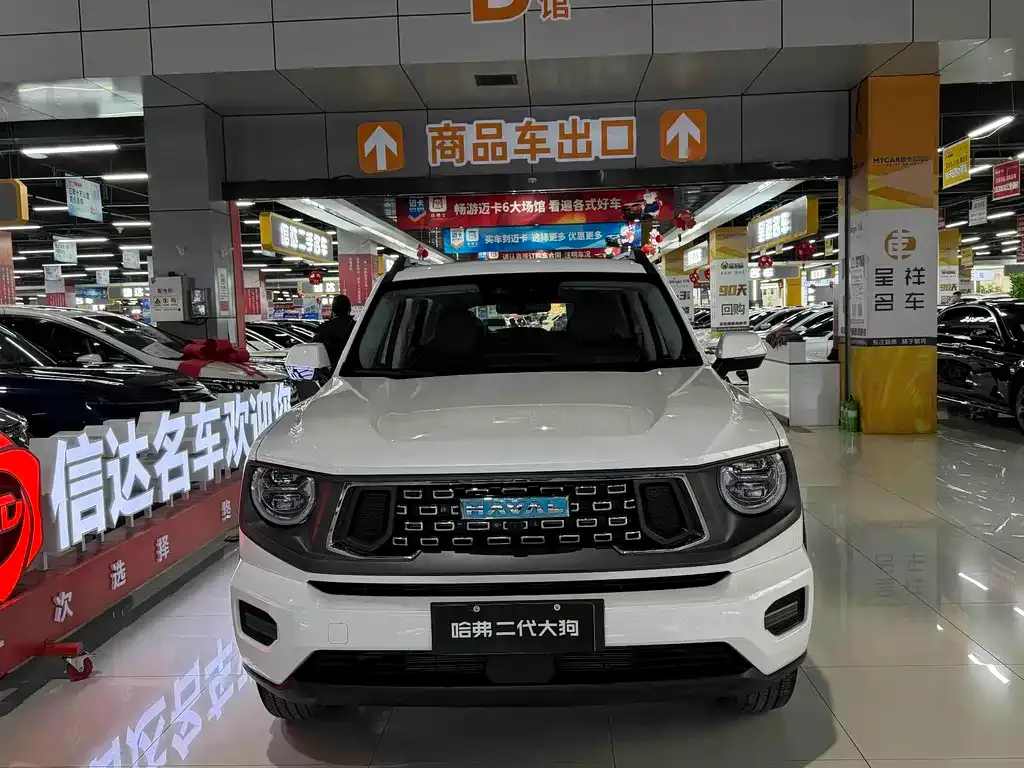 Haval H7 (Big Dog Plus) New Energy 2026 из CN, фото 4