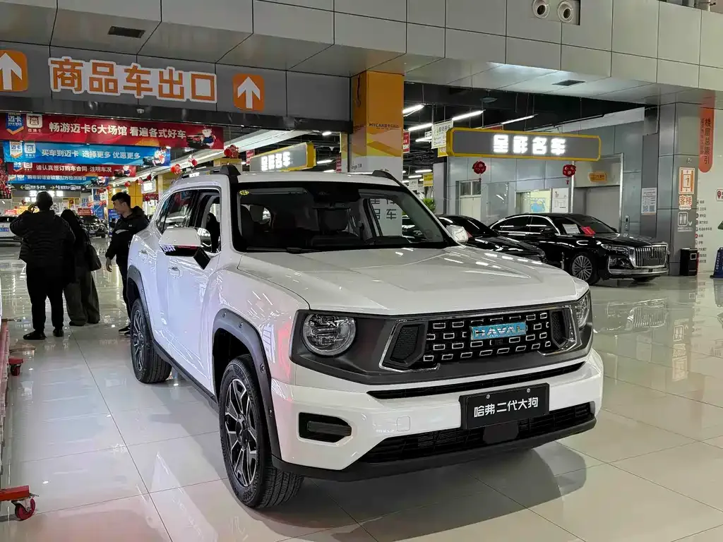 Haval H7 (Big Dog Plus) New Energy 2026 из CN, фото 7