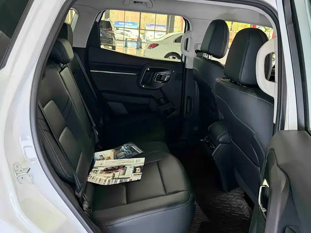 Haval H7 (Big Dog Plus) New Energy 2026 из CN, фото 9