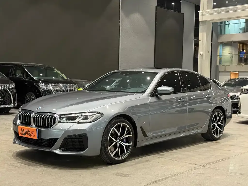 BMW 5 Series (Import) 2021 из CN, фото 1