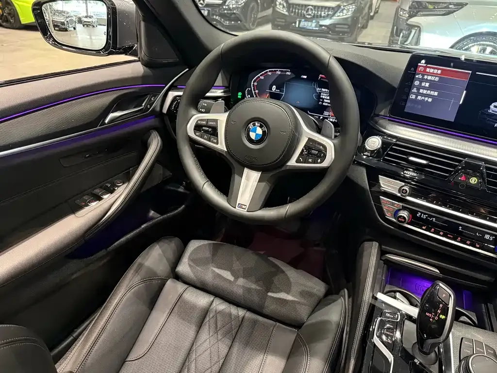 BMW 5 Series (Import) 2021 из CN, фото 10
