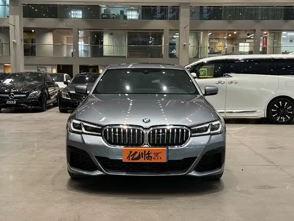 BMW 5 Series (Import) 2021 из CN, фото 5