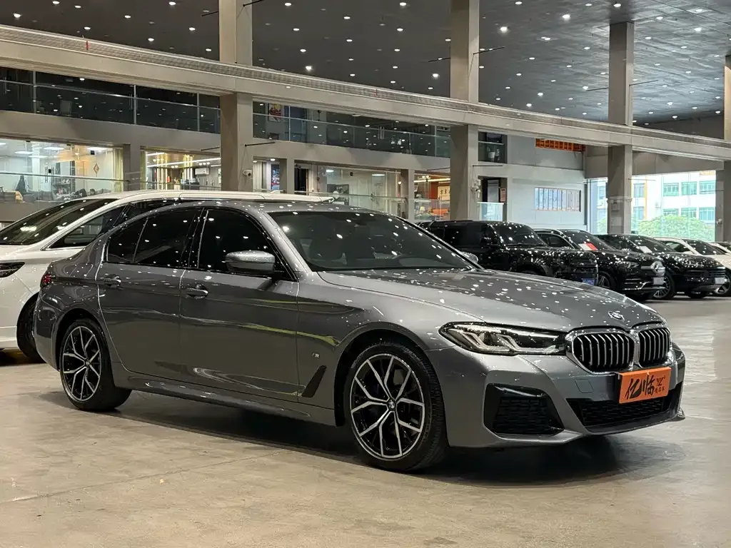 BMW 5 Series (Import) 2021 из CN, фото 9