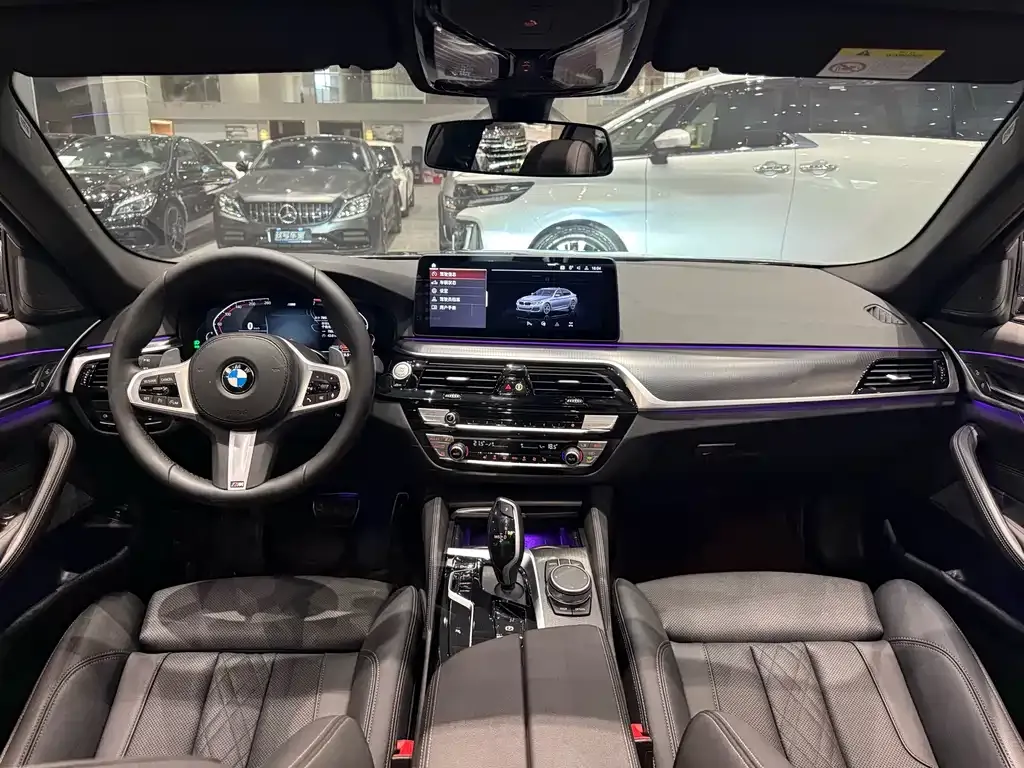 BMW 5 Series (Import) 2021 из CN, фото 8