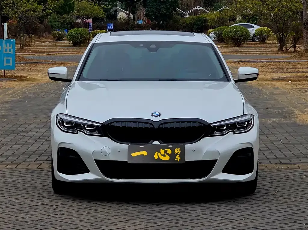 BMW 3 Series 2021 из CN, фото 3