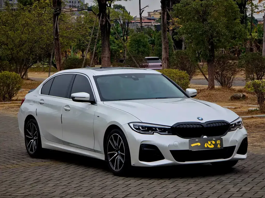 BMW 3 Series 2021 из CN, фото 9
