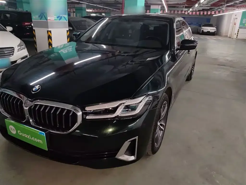 BMW 5 Series 2021 из CN, фото 1