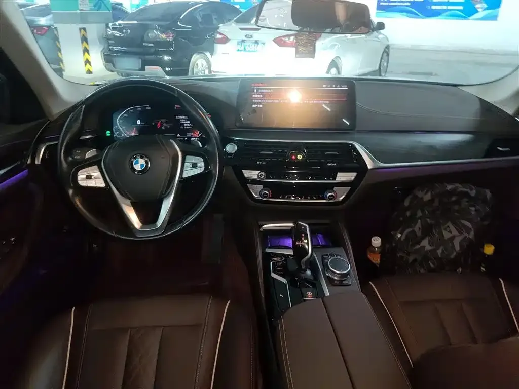 BMW 5 Series 2021 из CN, фото 10