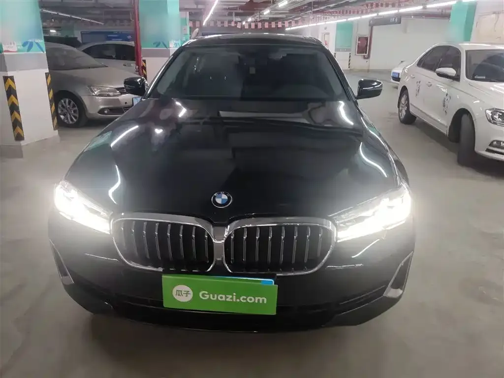 BMW 5 Series 2021 из CN, фото 9