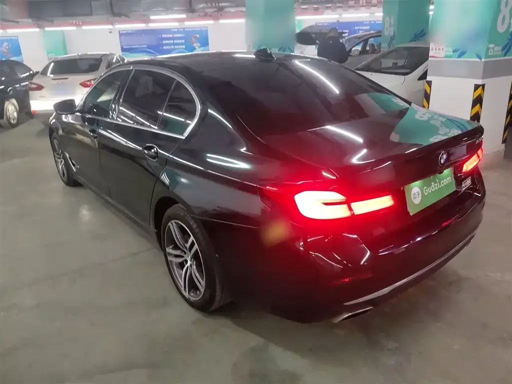 BMW 5 Series 2021 из CN, фото 7
