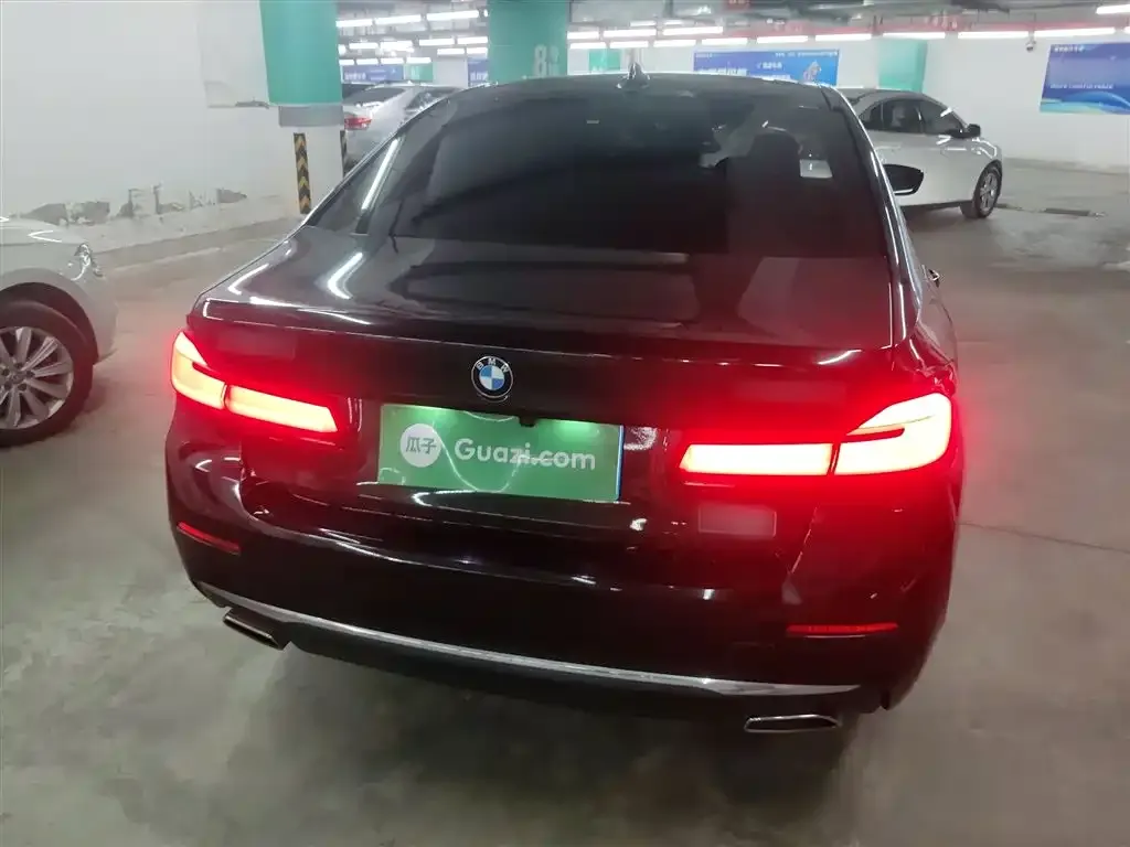 BMW 5 Series 2021 из CN, фото 5